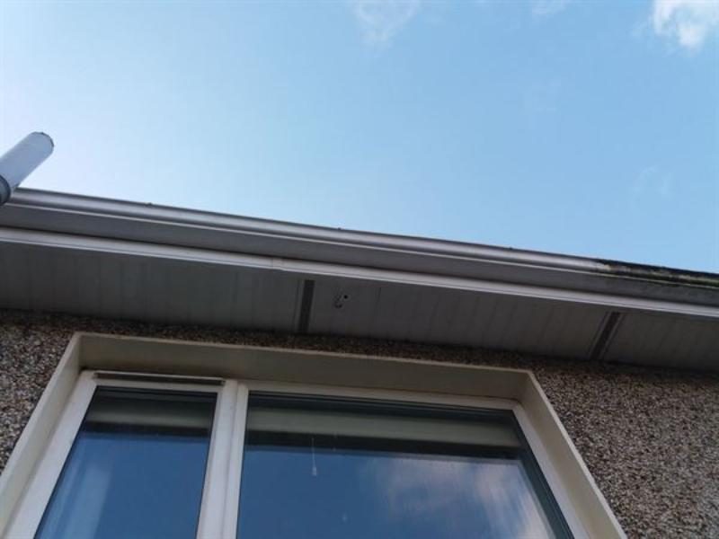 fascia2b fascia2b